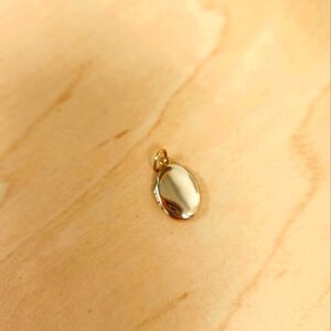 NWT Catbird dollhouse locket